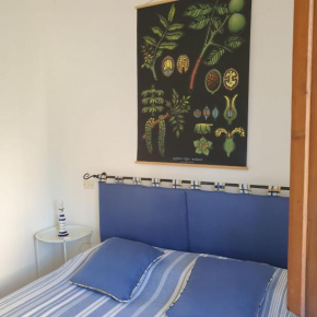 il faretto, Porto Azzurro